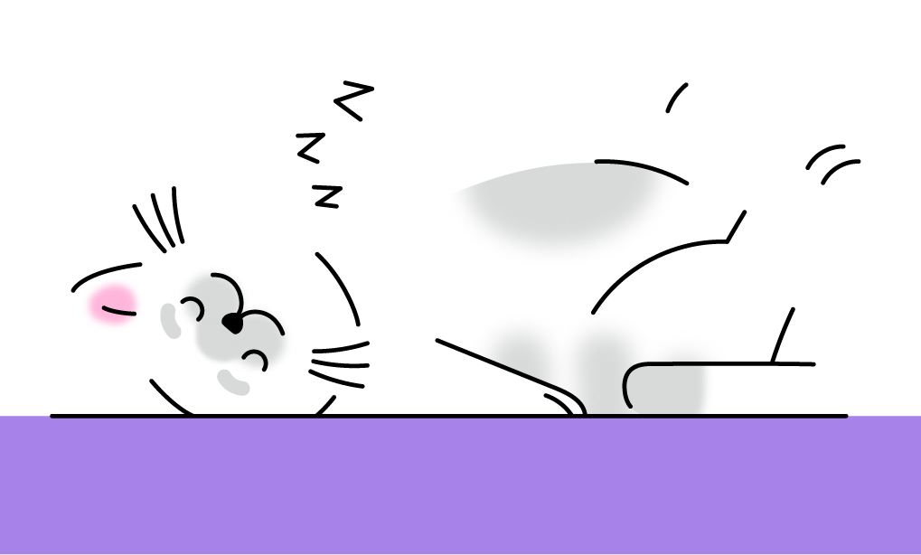 kotik1243